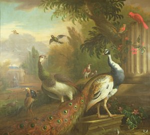 Pavão e Peahen com um cardeal vermelho em uma paisagem clássica